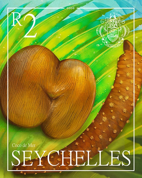 Coco de Mer Art print | COCO Seychelles